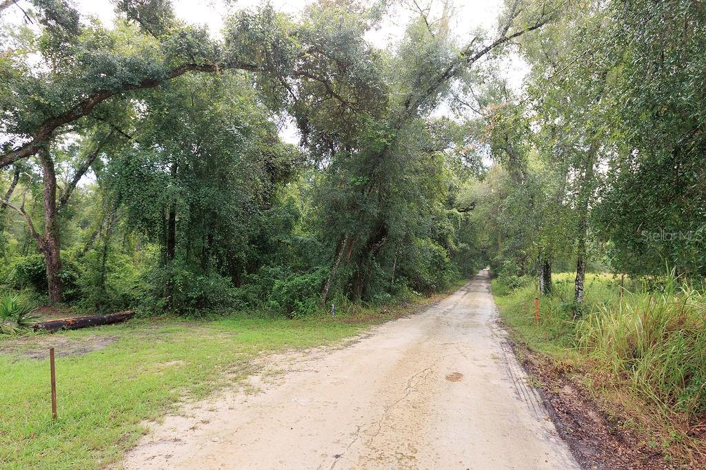 Property for sale at 0 LUCILLES SHADY LANE, NOBLETON, FL, 34661