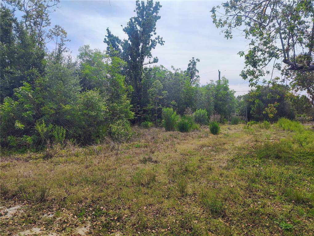 Property for sale at 9283 MANDY STREET, PUNTA GORDA, FL, 33982