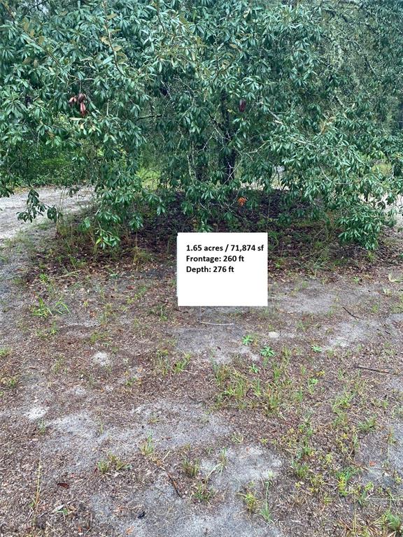 Property for sale at TBD SW 173 PLACE, OCALA, FL, 34473