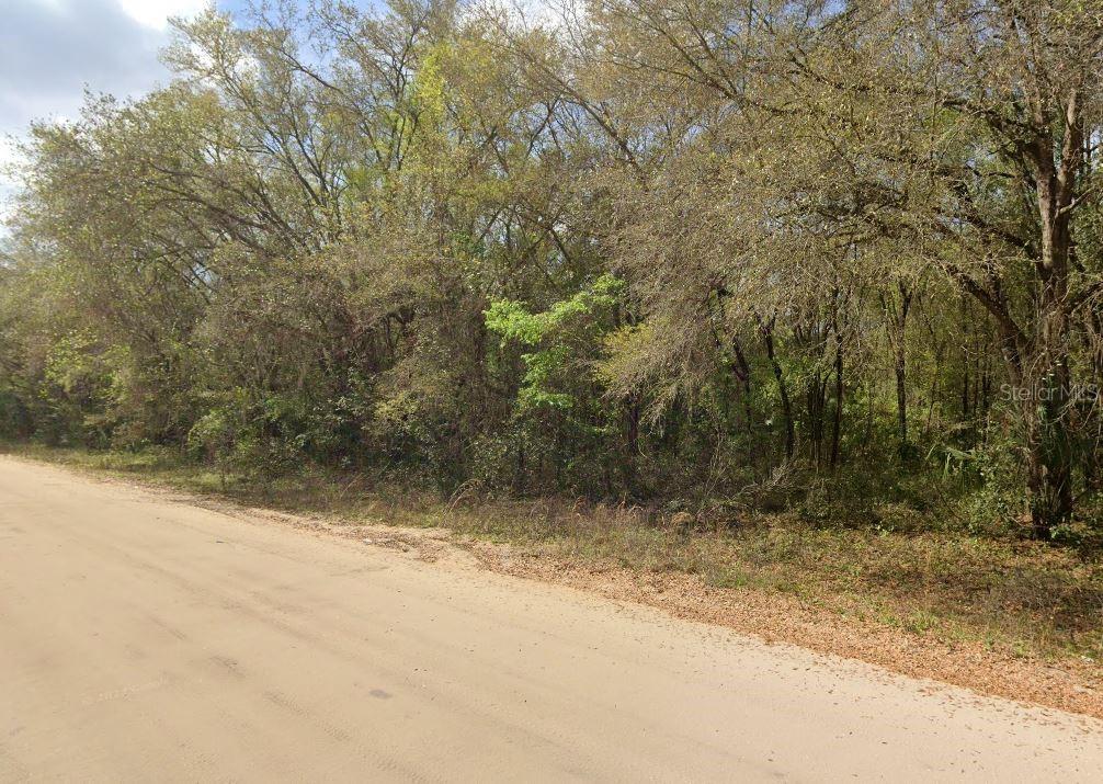 Property for sale at ANNETTE AVENUE, INTERLACHEN, FL, 32148