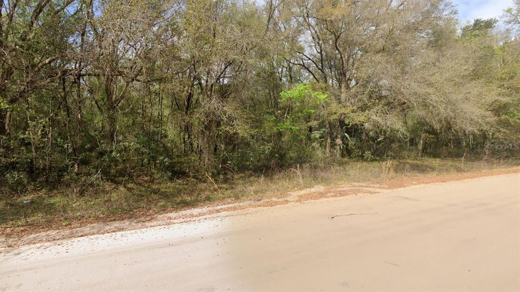Property for sale at ANNETTE AVENUE, INTERLACHEN, FL, 32148