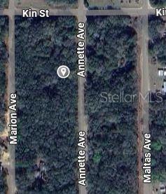 Property for sale at ANNETTE AVENUE, INTERLACHEN, FL, 32148