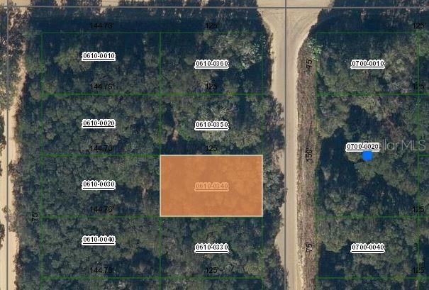 Property for sale at ANNETTE AVENUE, INTERLACHEN, FL, 32148