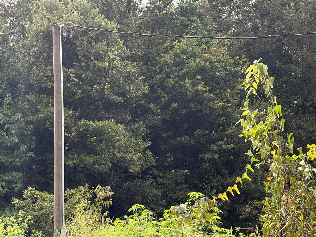 Existing Electrical Utility Pole on Property
