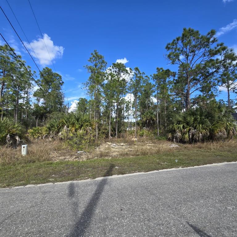 Property for sale at 2603 E 13TH STREET, LEHIGH ACRES, FL, 33972