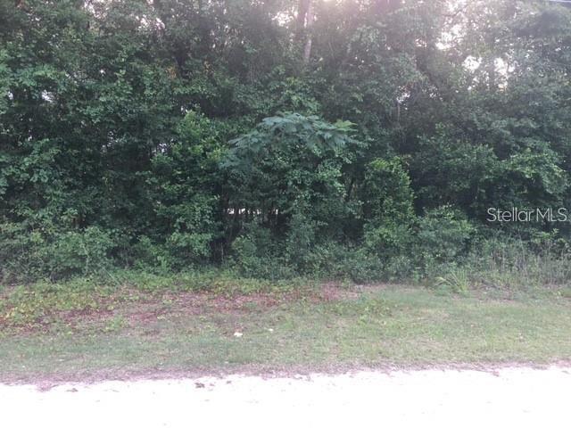 Property for sale at 170 NE 169TH AVENUE, SILVER SPRINGS, FL, 34488