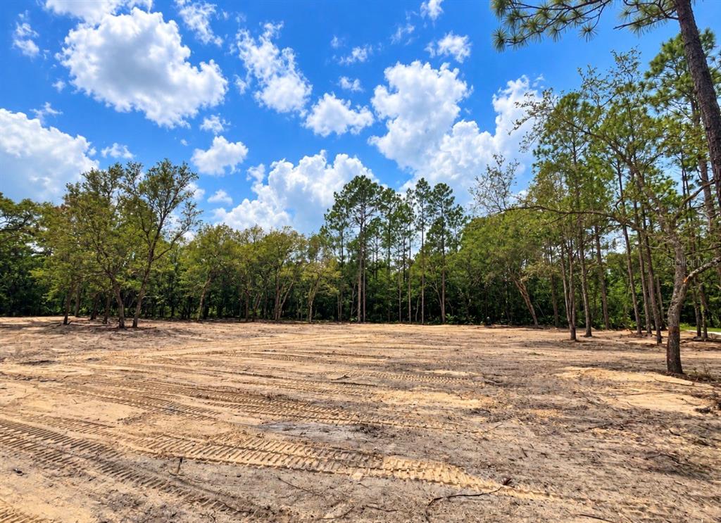 Property for sale at TBD NE 88TH LANE, BRONSON, FL, 32621