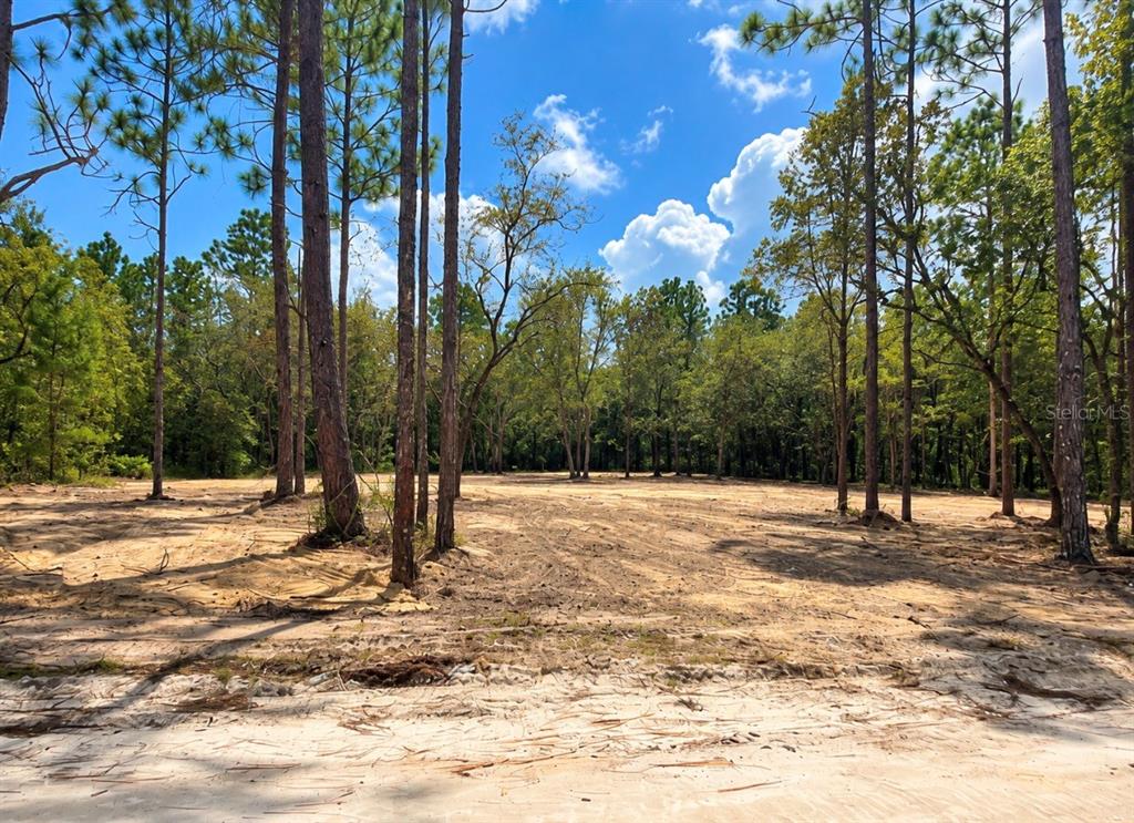 Property for sale at TBD NE 88TH LANE, BRONSON, FL, 32621