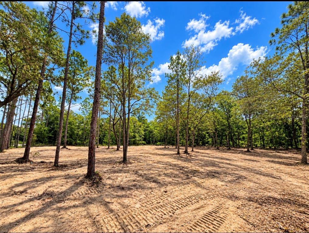 Property for sale at TBD NE 88TH LANE, BRONSON, FL, 32621
