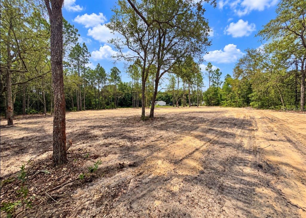 Property for sale at TBD NE 88TH LANE, BRONSON, FL, 32621