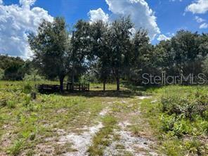 Property for sale at LAUREL OAK AVENUE, MIMS, FL, 32754