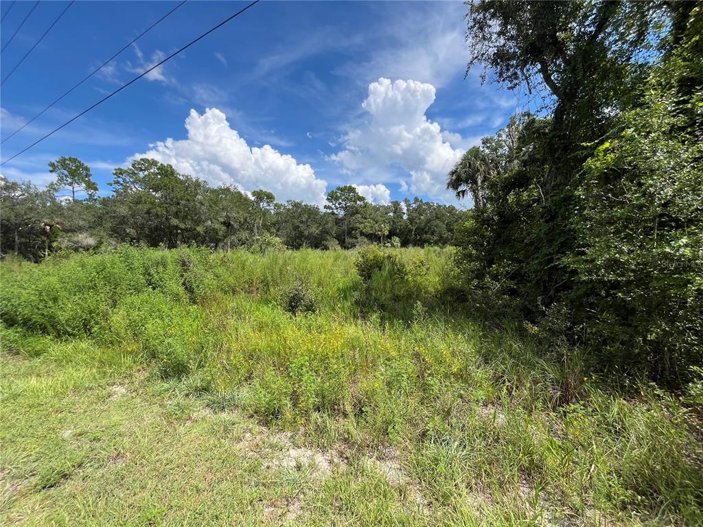 Property for sale at 12362 W RIVERWOOD DRIVE, CRYSTAL RIVER, FL, 34428