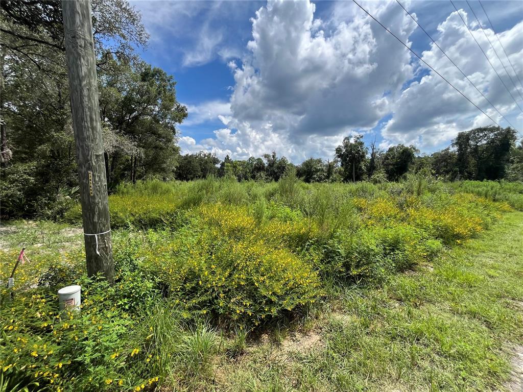 Property for sale at 12362 W RIVERWOOD DRIVE, CRYSTAL RIVER, FL, 34428