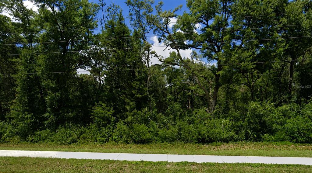 Property for sale at 34357 CORTEZ BOULEVARD, DADE CITY, FL, 33523