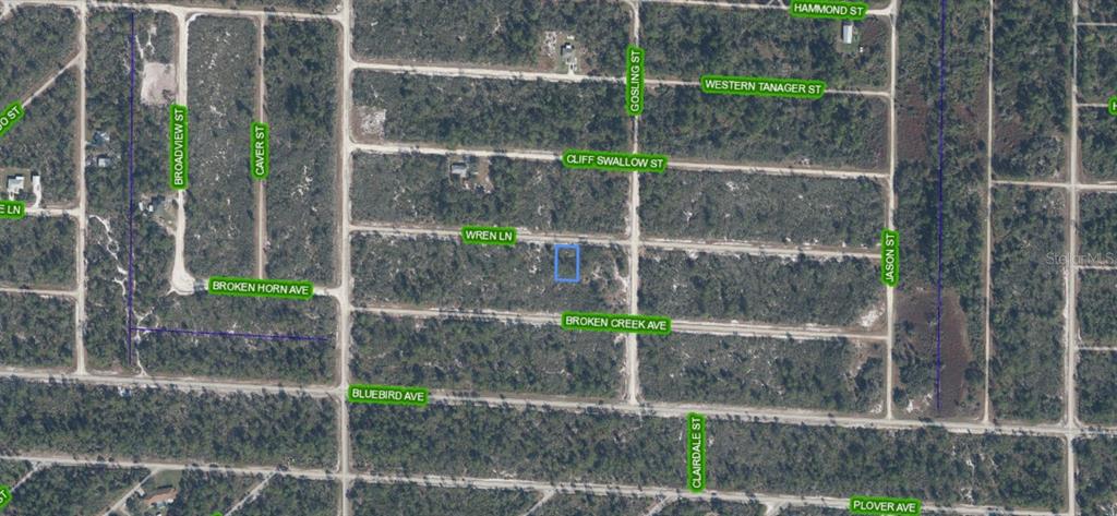 Property for sale at 3442 WREN LANE, LAKE PLACID, FL, 33852
