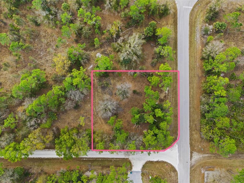 Large CORNER lot!