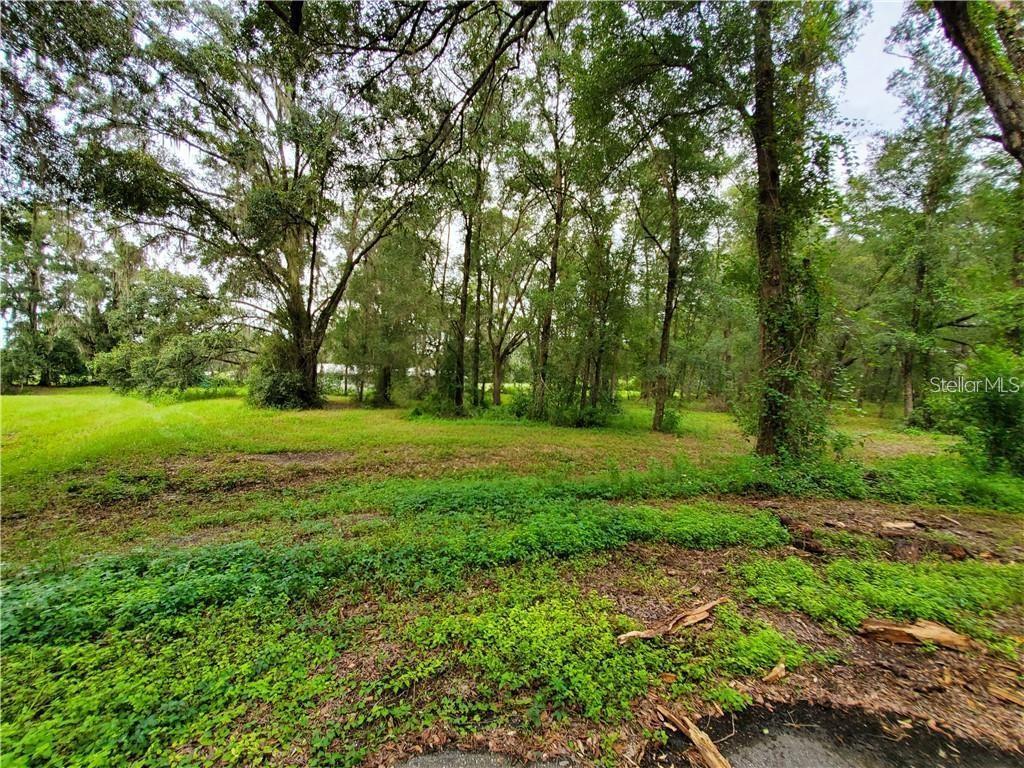 Lot with mature trees