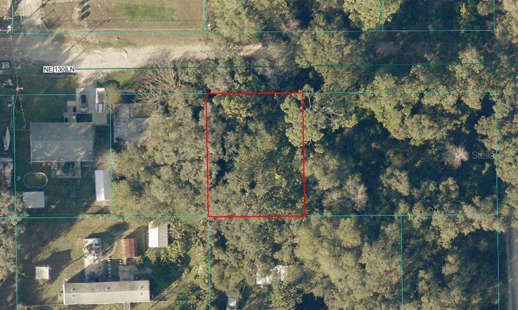 Property for sale at TBD LOT 34 NE 130TH LANE, SALT SPRINGS, FL, 32134