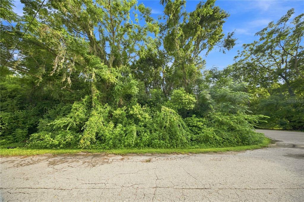 Property for sale at 5850 SE 144TH PLACE, SUMMERFIELD, FL, 34491