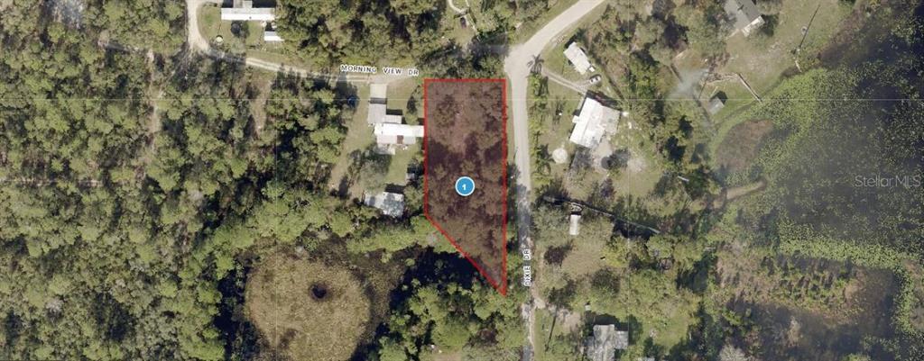 Property for sale at MORNING VIEW DRIVE, PAISLEY, FL, 32767
