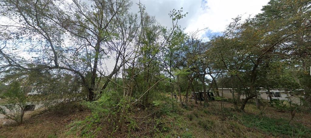 Property for sale at MORNING VIEW DRIVE, PAISLEY, FL, 32767
