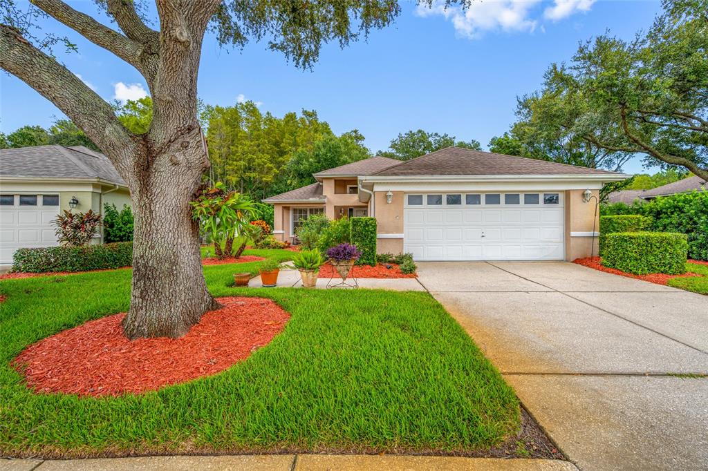 Property for sale at 1044 DALESIDE LANE, NEW PORT RICHEY, FL, 34655