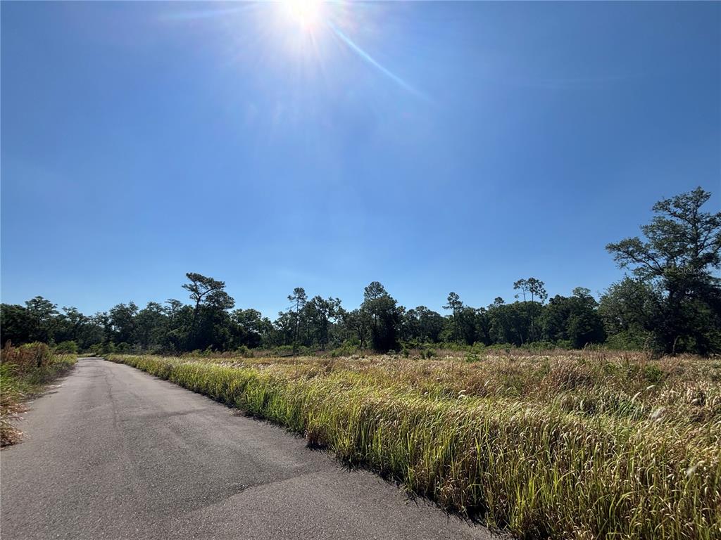 Property for sale at ARDENWOOD, TAMPA, FL, 33625