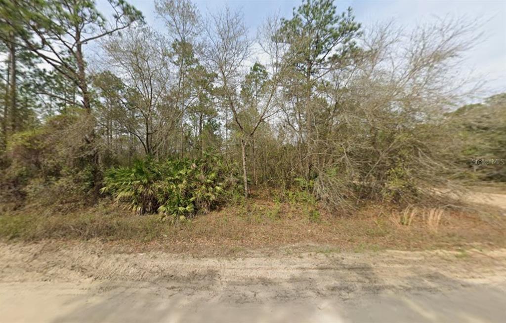 Property for sale at LOT 18 WALLACE STREET, INTERLACHEN, FL, 32148