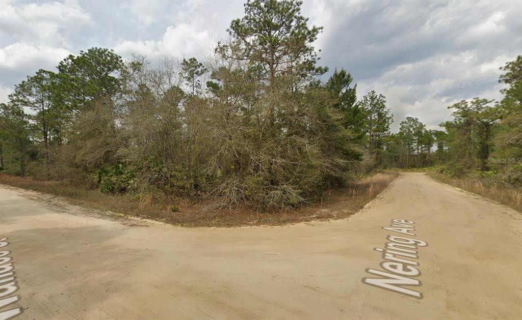 Property for sale at LOT 18 WALLACE STREET, INTERLACHEN, FL, 32148