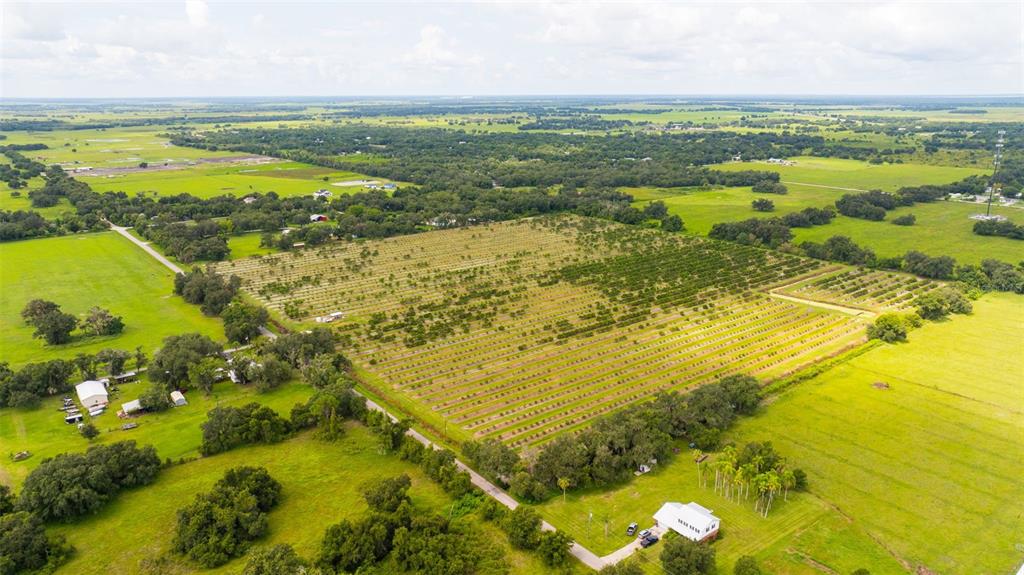 Property for sale at SW CARLTON AVENUE, ARCADIA, FL, 34266