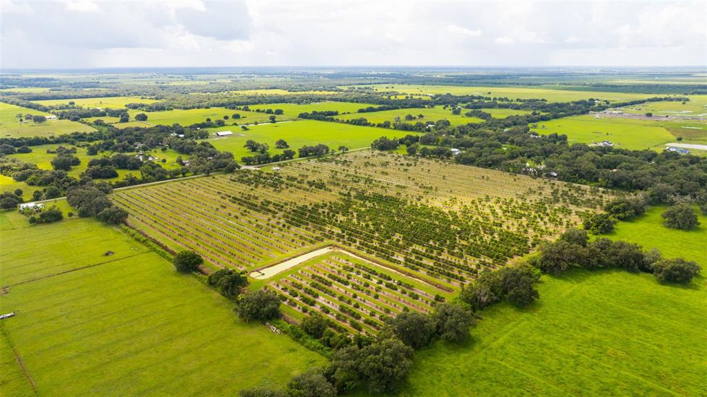Property for sale at SW CARLTON AVENUE, ARCADIA, FL, 34266