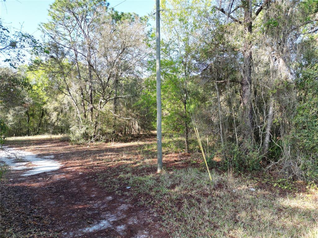 Property for sale at 0000 E HWY 25, BELLEVIEW, FL, 34420