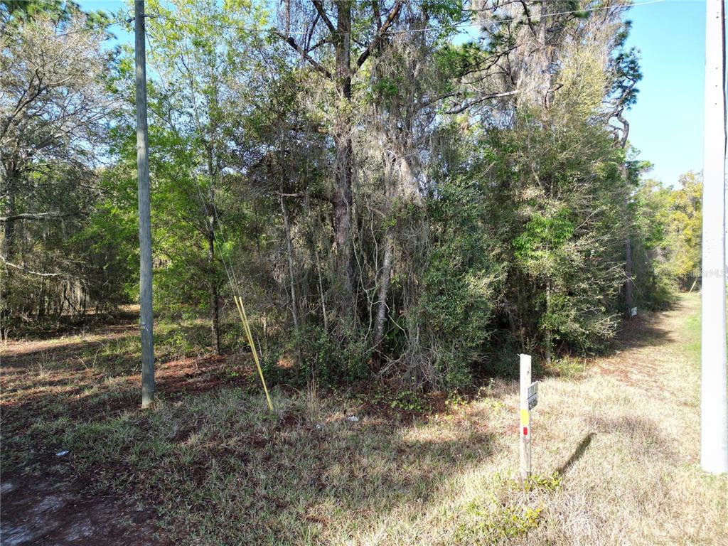 Property for sale at 0000 E HWY 25, BELLEVIEW, FL, 34420
