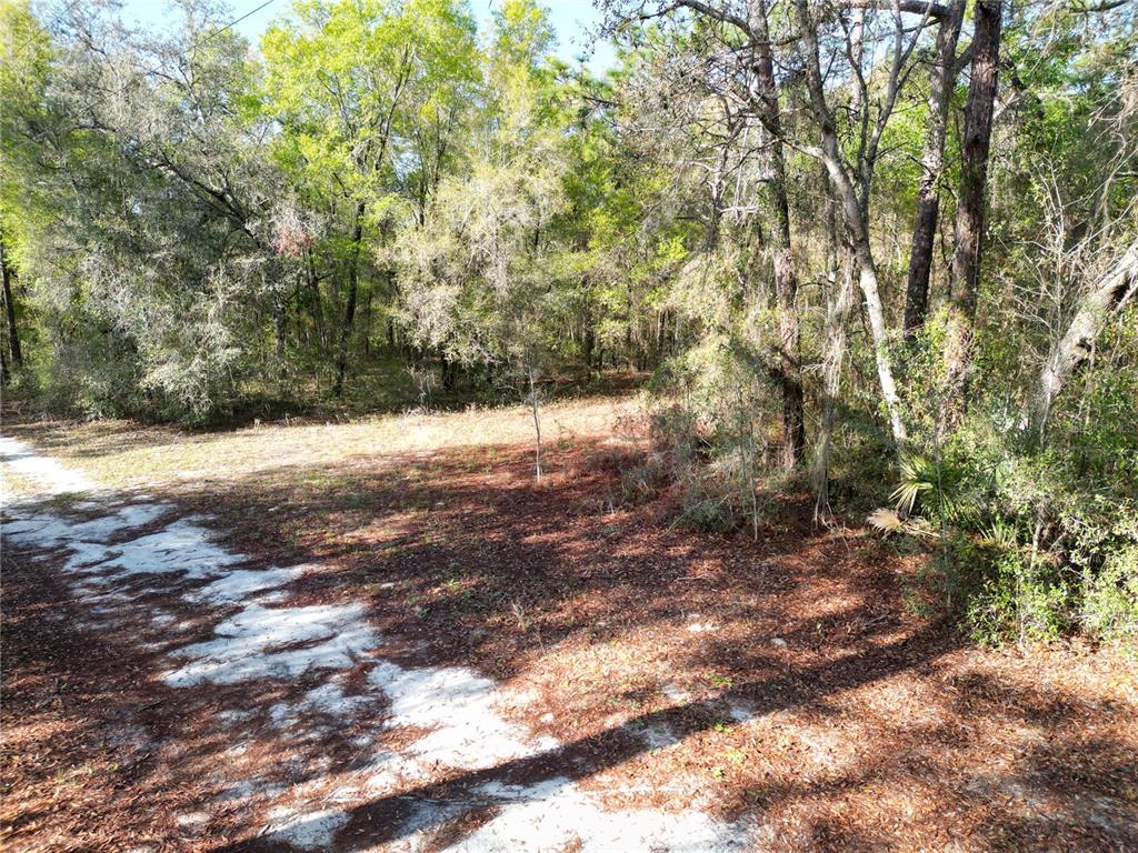 Property for sale at 0000 E HWY 25, BELLEVIEW, FL, 34420