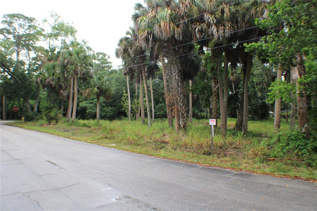 Property for sale at 48 VALLEY STREET, PORT ORANGE, FL, 32129