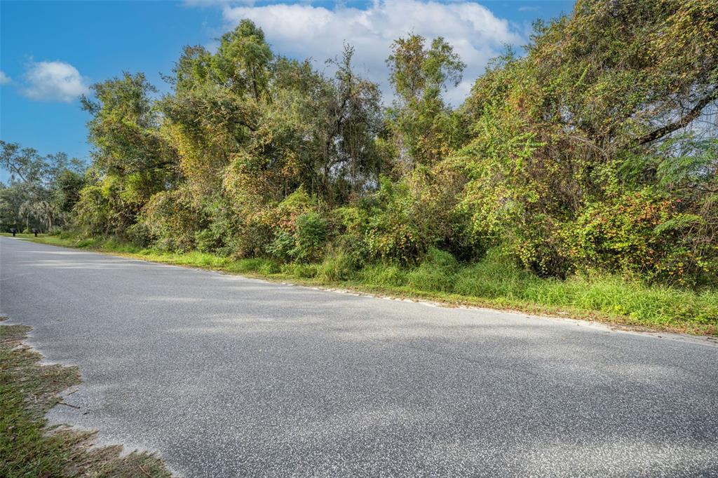 Property for sale at ROYAL OAK ROAD, FRUITLAND PARK, FL, 34731