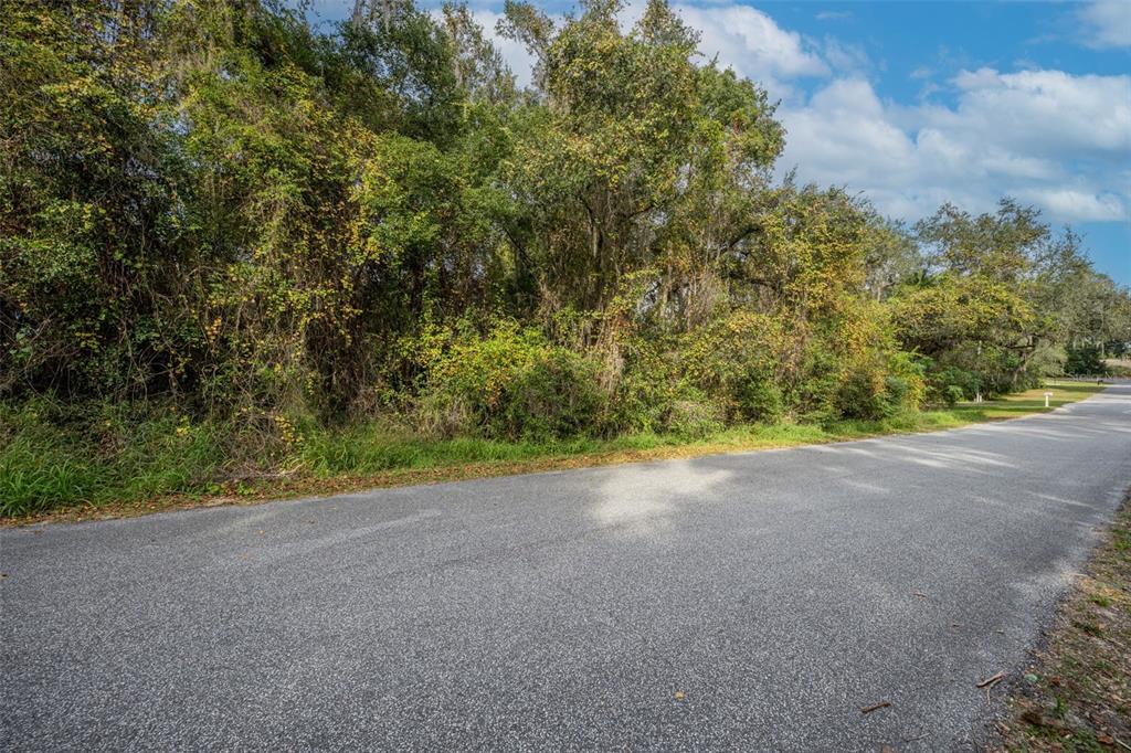Property for sale at ROYAL OAK ROAD, FRUITLAND PARK, FL, 34731