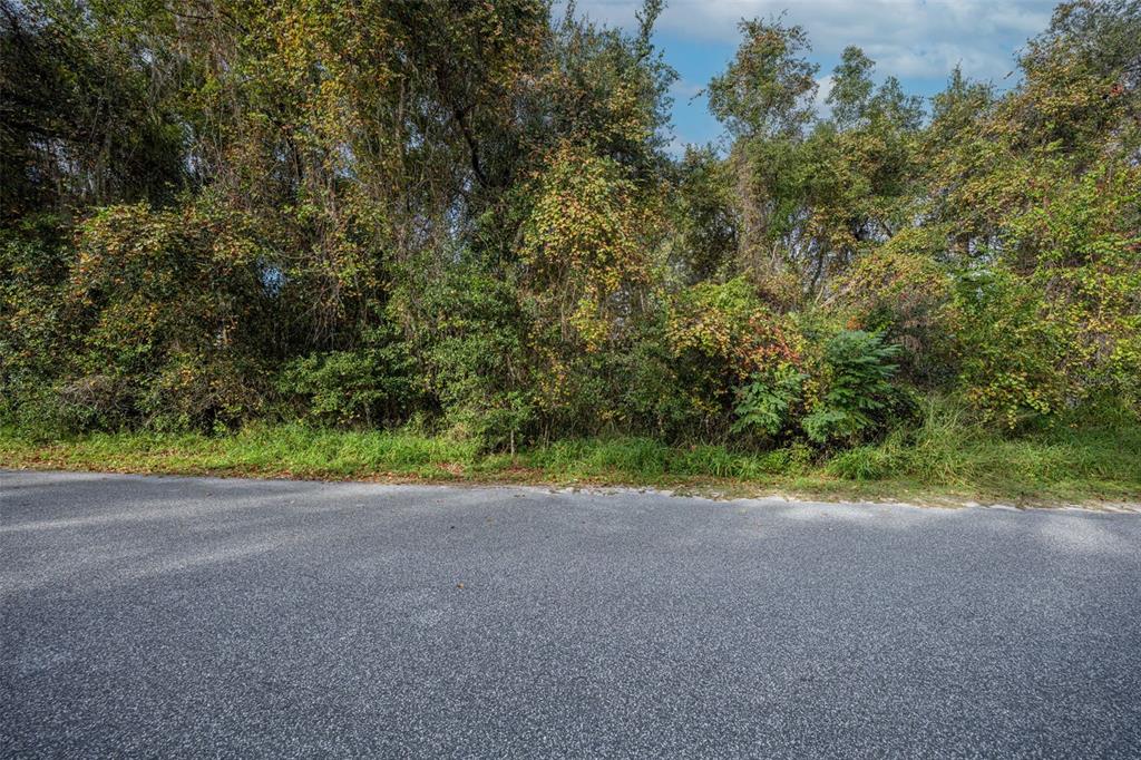 Property for sale at ROYAL OAK ROAD, FRUITLAND PARK, FL, 34731