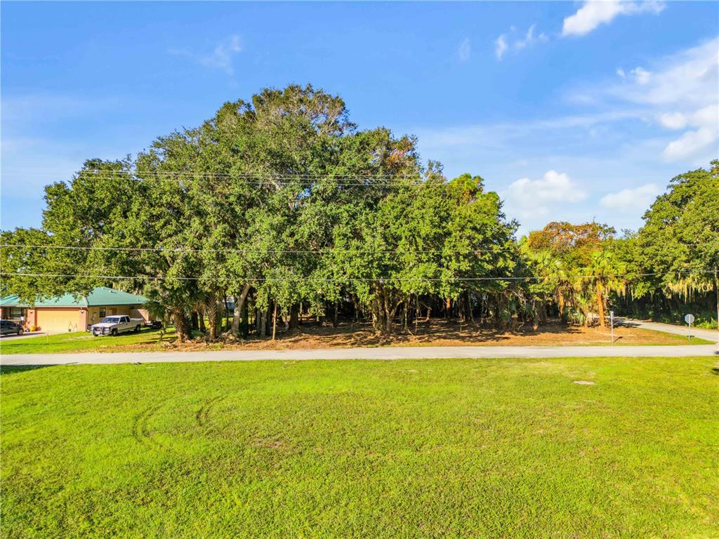 Property for sale at 0 DIXIE LANE, OAK HILL, FL, 32759