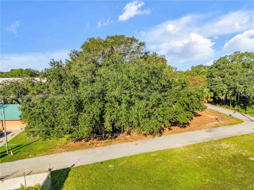 Property for sale at 0 DIXIE LANE, OAK HILL, FL, 32759