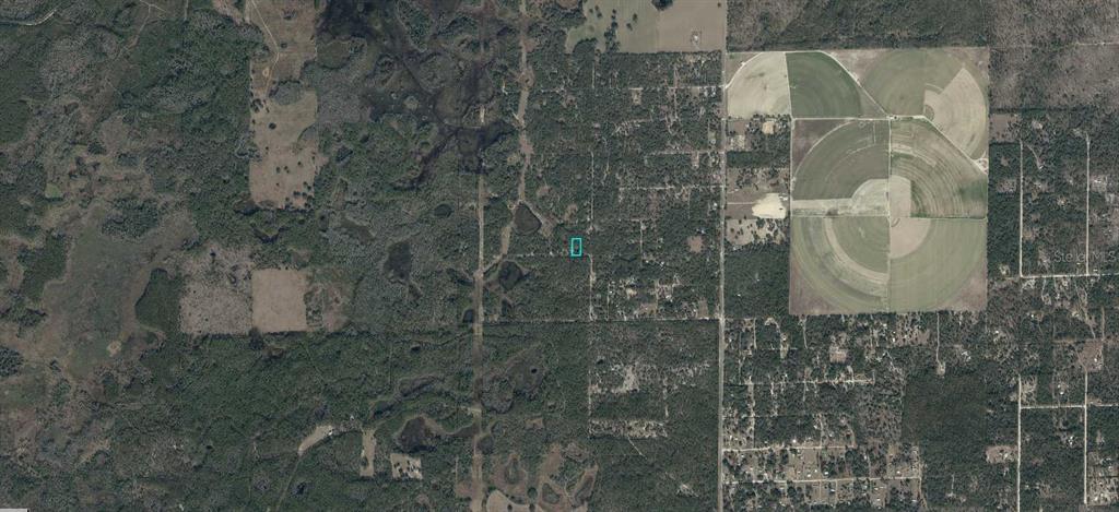 Property for sale at 03161-176-00 NE 122ND PLACE, BRONSON, FL, 32621