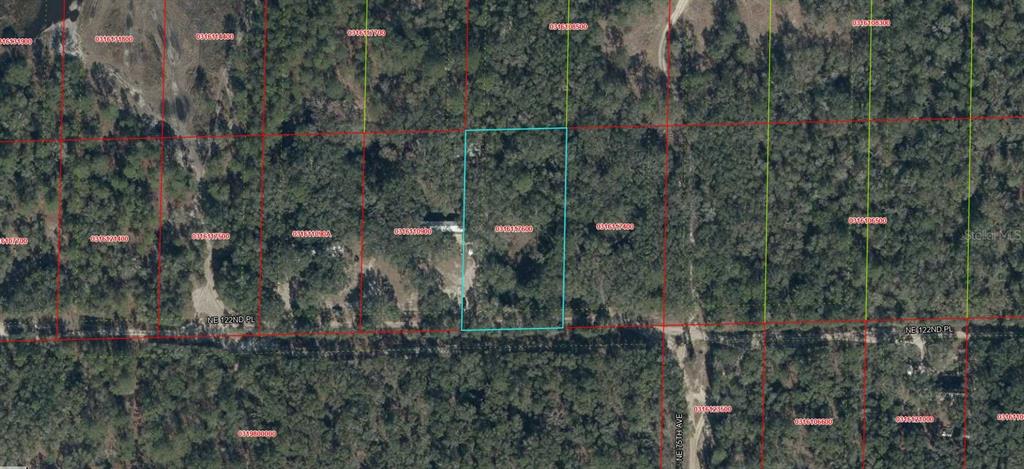 Property for sale at 03161-176-00 NE 122ND PLACE, BRONSON, FL, 32621