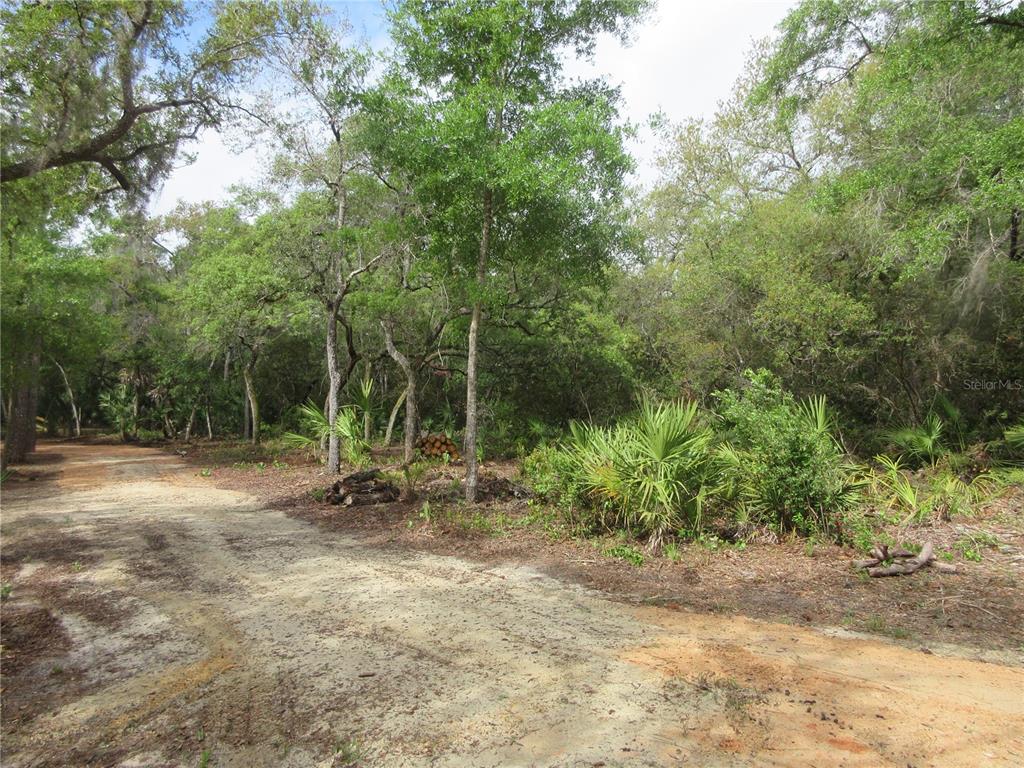 Property for sale at 0 SE 10TH STREET, SILVER SPRINGS, FL, 34488
