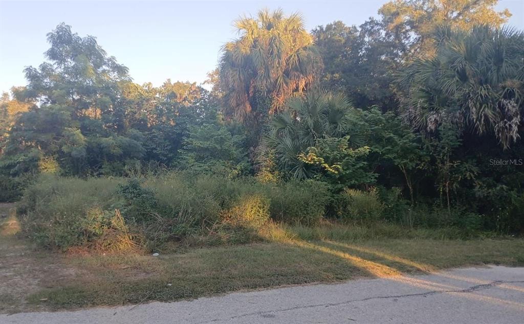 Property for sale at 425 NW 12TH AVENUE, OCALA, FL, 34475
