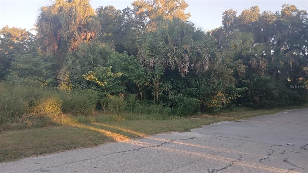 Property for sale at 425 NW 12TH AVENUE, OCALA, FL, 34475