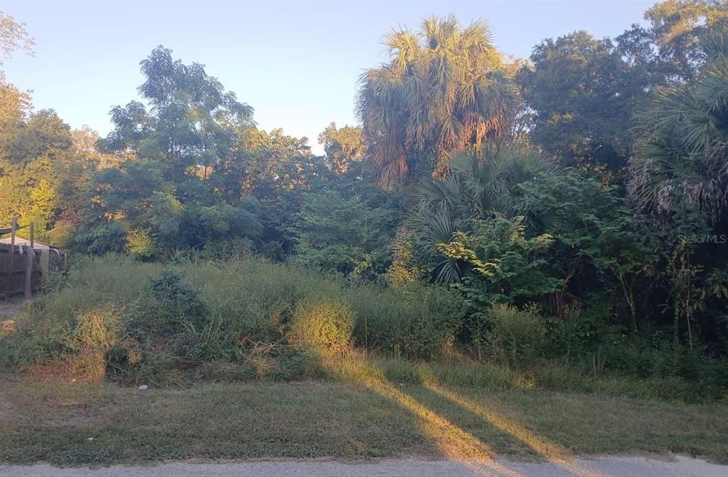 Property for sale at 425 NW 12TH AVENUE, OCALA, FL, 34475