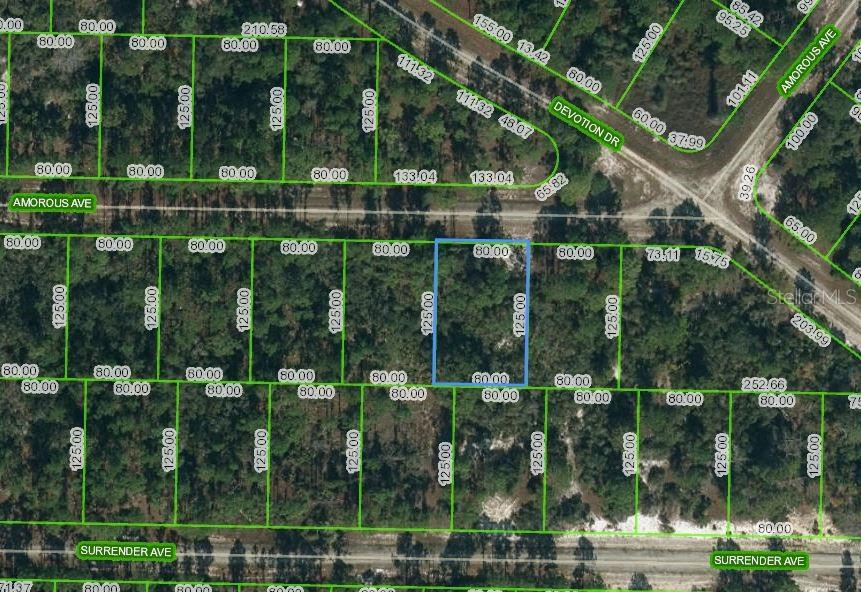 Property for sale at 427 AMOROUS AVENUE, LAKE PLACID, FL, 33852