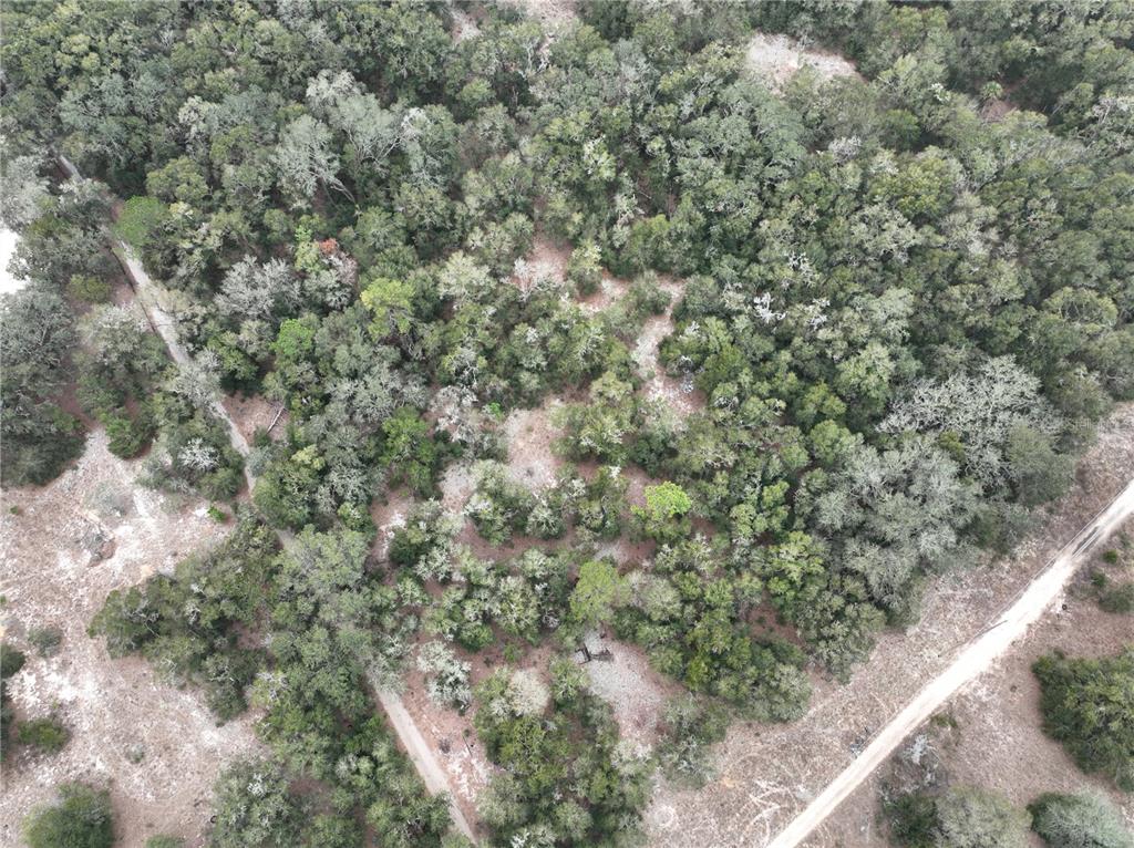 Property for sale at SE 100 STREET, OCALA, FL, 34472
