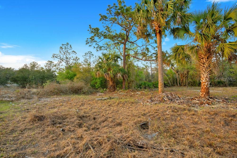 Property for sale at 1411 SARASOTA COURT, POINCIANA, FL, 34759