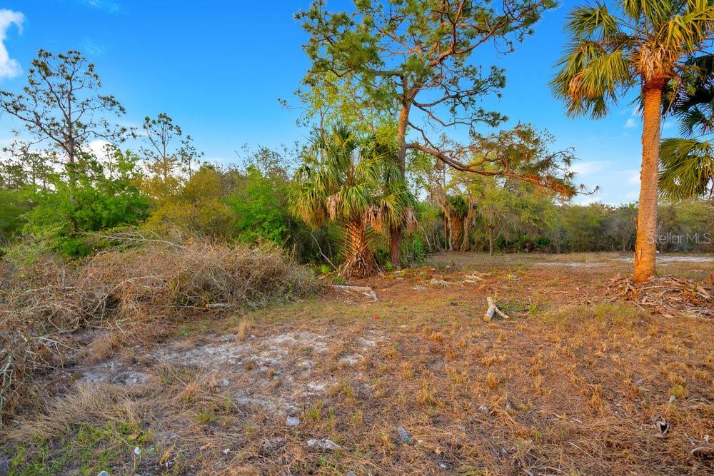Property for sale at 1411 SARASOTA COURT, POINCIANA, FL, 34759